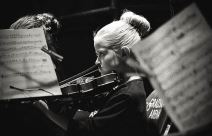 Noć muzike 2017. Tašmajdan program