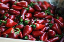 Fish fest 2016 - Riblja čorba u loncu od 100l i ljute papričice