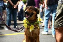 Beograd prajd 17. septembra