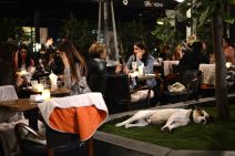 Beograd noću - Velike gužve na ulici nema mesta u kafićima