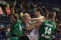 Partizan Stelmet, koš Novice Veličkovića