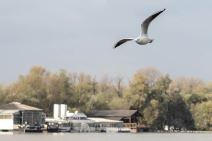 Glavni gradovi, test znanja iz geografije