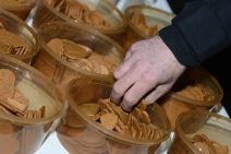 Siniša Mali i Norvežani okitili jelku na Tašmajdanu