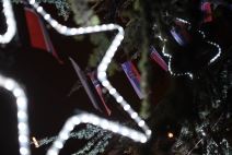 Siniša Mali i Norvežani okitili jelku na Tašmajdanu