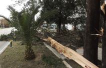 Nevreme u Crnoj Gori - orkanski vetar u Baru