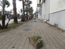 Nevreme u Crnoj Gori - orkanski vetar u Baru