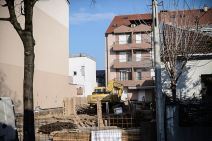 Istina o psu Simi iz serije Srećni ljudi