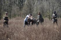 Nemanjići greška freska Svetog Save