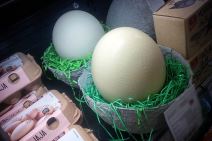 Uskršnja jaja: Najveće jaje noja i emua u prodaji (FOTO)