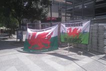 Navijači velsa dali krv za teško povređenog navijača Partizana