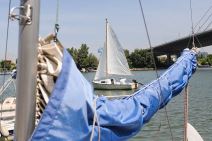 Jedrenje na Savi: Regata jedrilica u Beogradu (FOTO)