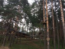 Zlatibor, britanski Gardijan o Zlatiboru