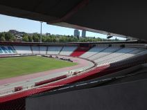 Crvena zvezda - Irtiš, Vladan Milojević