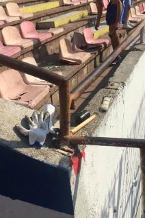 Renoviranje stadiona FK Crvena zvezda