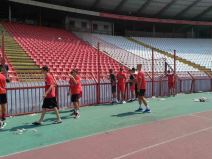 Renoviranje stadiona FK Crvena zvezda
