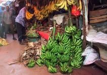 Zanzibar fotografije letovanje 