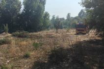 Požari na Dorćolu - 25. maj