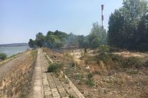 Požari na Dorćolu - 25. maj