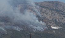 Crna Gora požari u Šušanju i Čanju