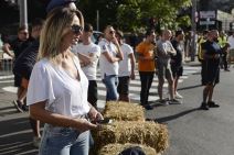 Kalemegdan: Formula 1 memorijalna trka Beograda 2017 (FOTO)