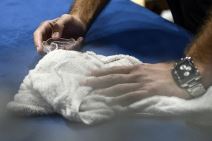 Boks na Kalemegdanu: Kalemegdan Boxing Night 2017 (FOTO)