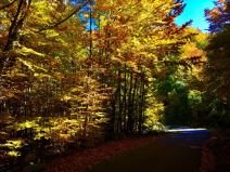 Turizam u Srbiji 2017.