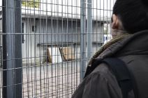 Zatvoren štand sa pljeskavicama na Beogradskom sajmu (FOTO)