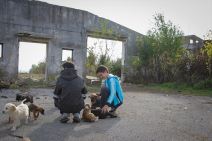 Modriča - azil za životinje - dečaci