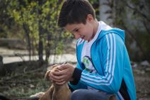 Modriča - azil za životinje - dečaci