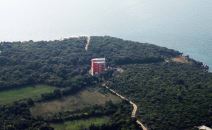 Bar - slikarka Danijela Kisić Petrović uhapšena