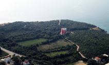 Bar - slikarka Danijela Kisić Petrović uhapšena