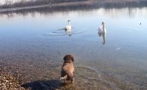 Ada Ciganlija, lepo vreme pred Novu godinu.