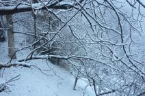 Snežna idila u Ivanjici