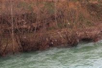 Smeće na obali Morače