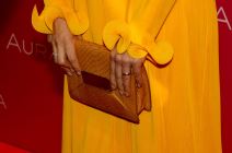 Severina slike snimak 