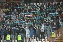 Crvena zvezda - Zemun 3:1, Vladan Milojević izjava