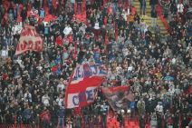 Crvena zvezda - Zemun 3:1, Vladan Milojević izjava