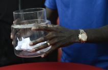 Mičel Donald navijači Crvene zvezde su spremni da umru za klub 