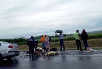 Udes na autoputu Niš Beograd poginulo dete