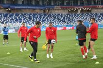 Mladen Krstajić konferencija pred Srbija Švajcarska