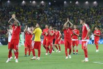 Srbija - Brazil, mundijal navijači