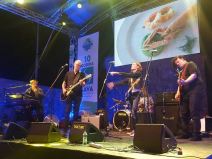 Anica Dobra pogođena čašom Bedem fest u Nikšiću