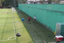 Zvezda trening pred meč sa Radnikom