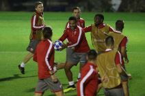 Crvena zvezda - Napoli, Liga šampiona