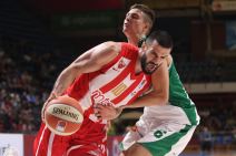 Milan Tomić posle Zvezda - Krka: Dušan Ristić odigrao solidno