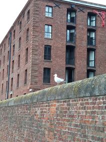 Liverpul Bitlsi The Cavern Club