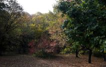 Vremenska prognoza za sledeću nedelju