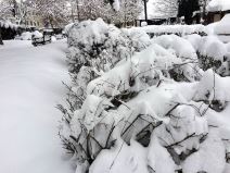 Zima u Srbiji - Sela Nove Varoši i dalje blokirana, u Arilju bolje