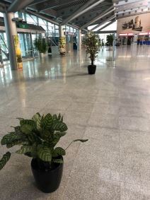 Podgorički aeordrom prokišnjava