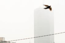 Zagađenost vazduha u Srbiji i Beogradu - šta kažu stručnjaci